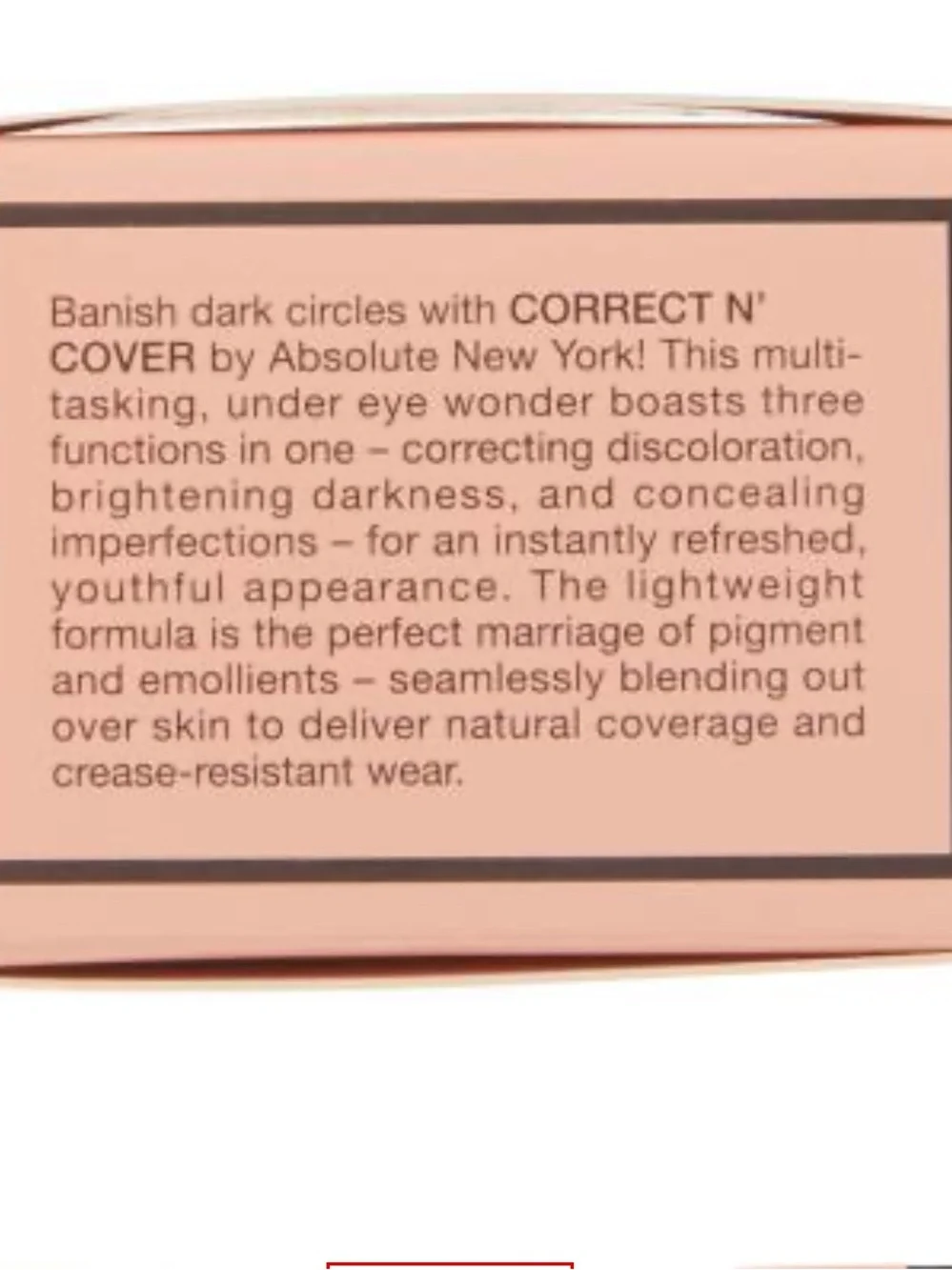 Absolute New York Correct N' Cover Dark Circle Concealer in Fair